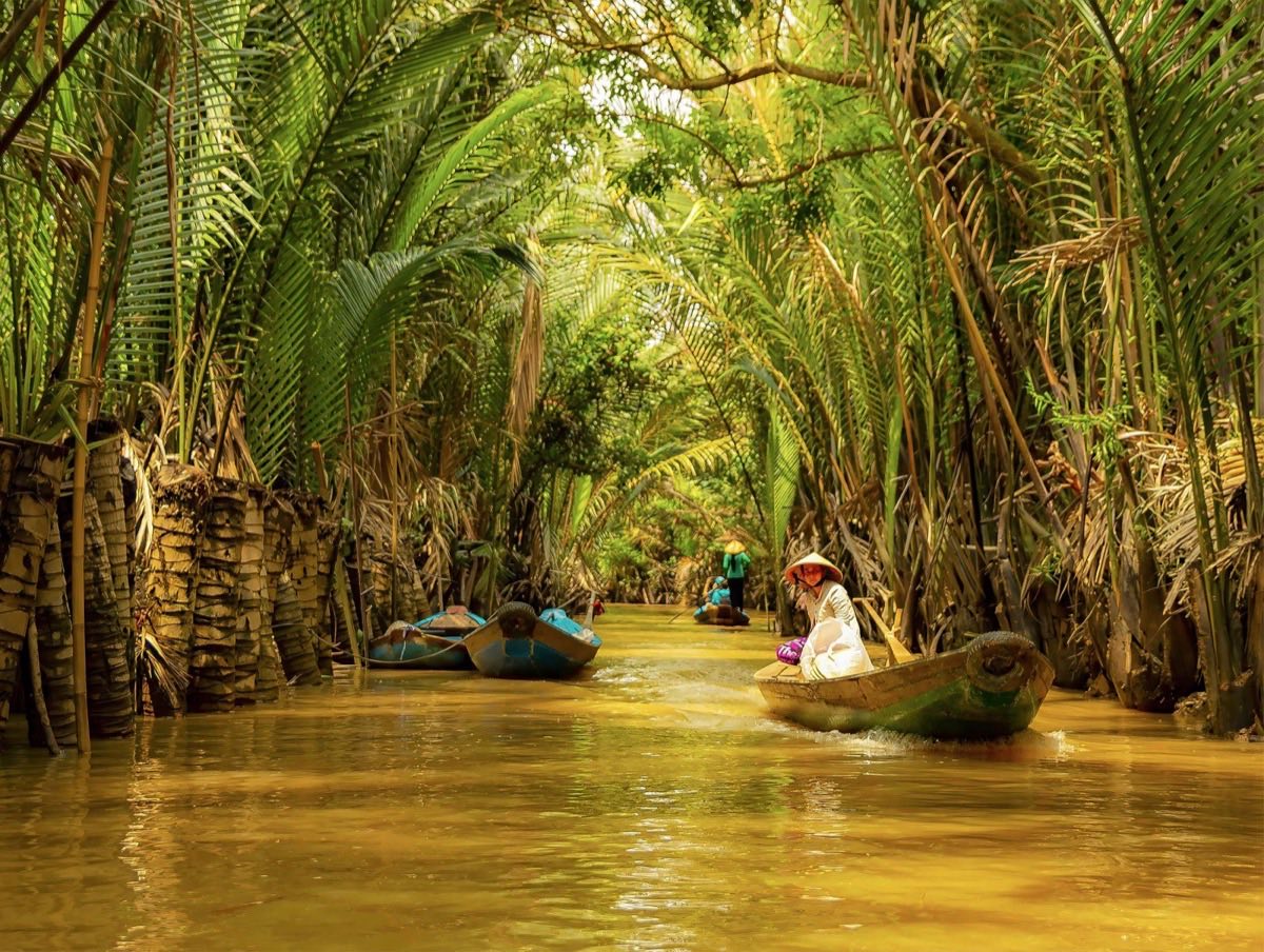 Boat on a River Between Palm Trees