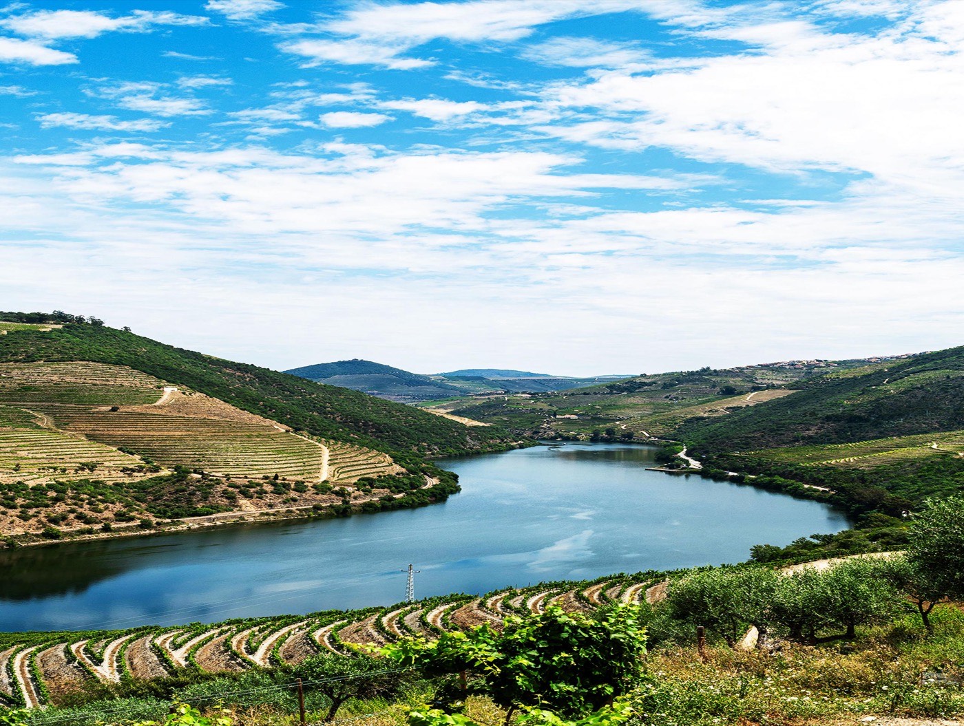 Douro Valley Portugal Tg L