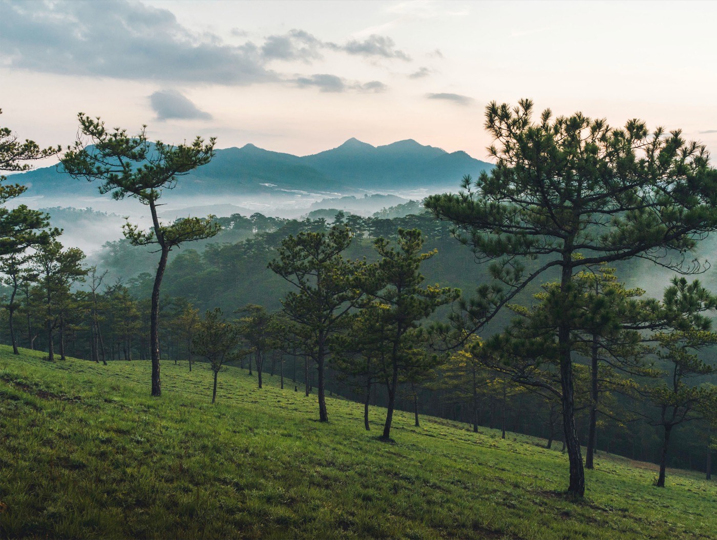 Sunrise In Vietnams Central Highlands
