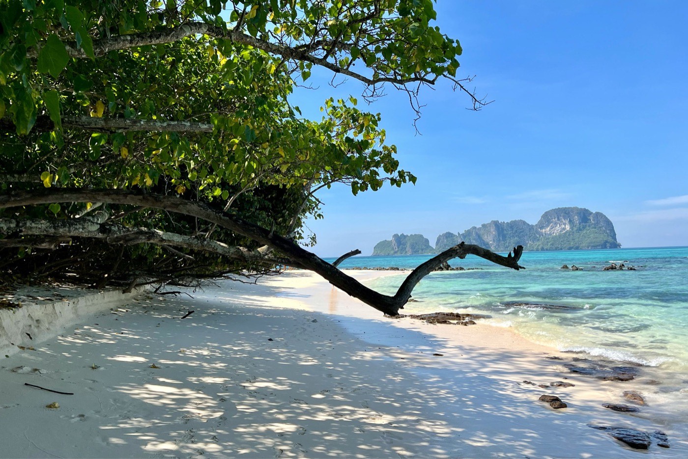 Bamboo Island Phi Phi