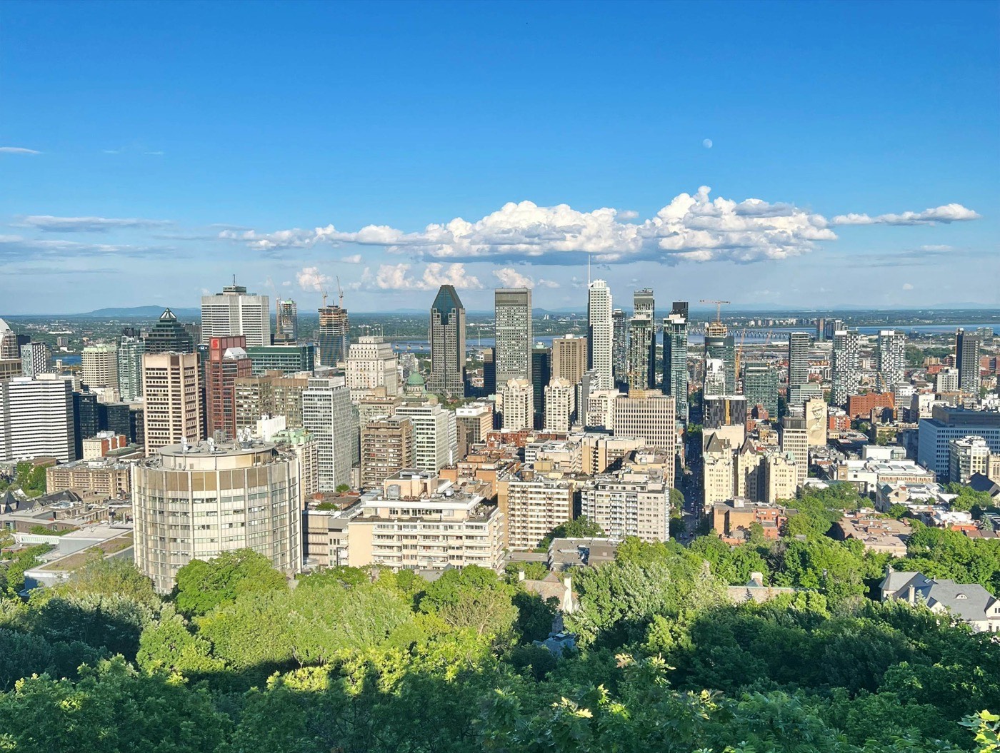 Montreal Skyline From Mount Royal Lookout