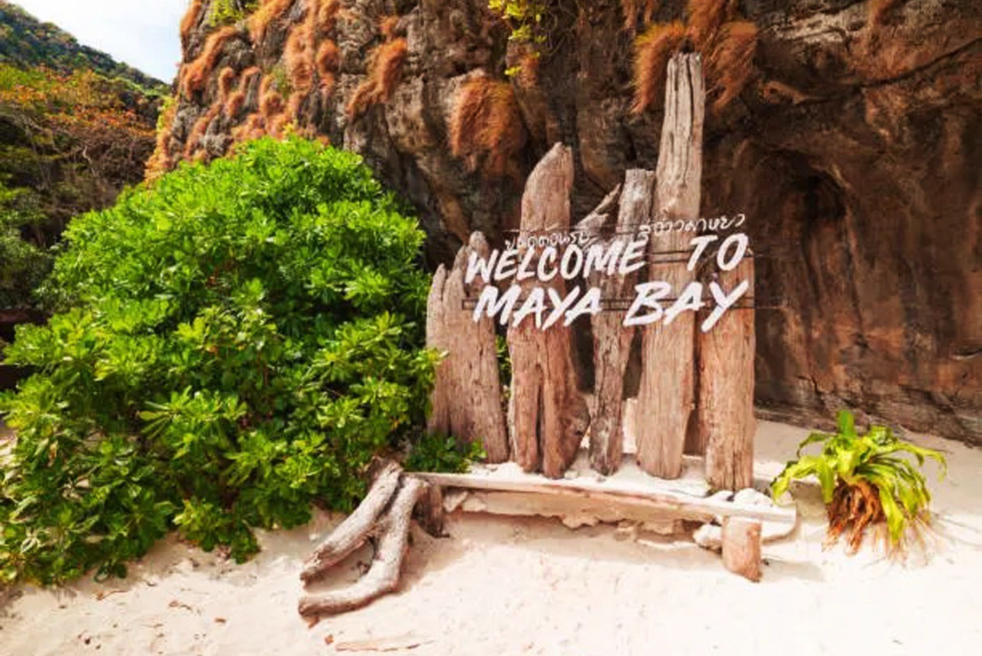 Welcome Board In Maya Bay