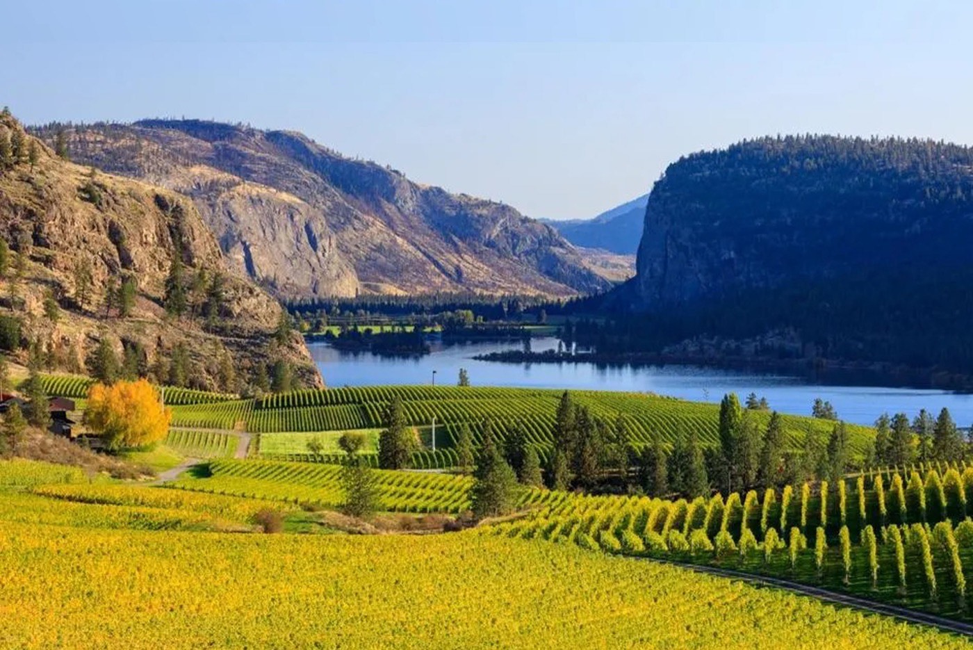 The Okanagan Valley British Columbia