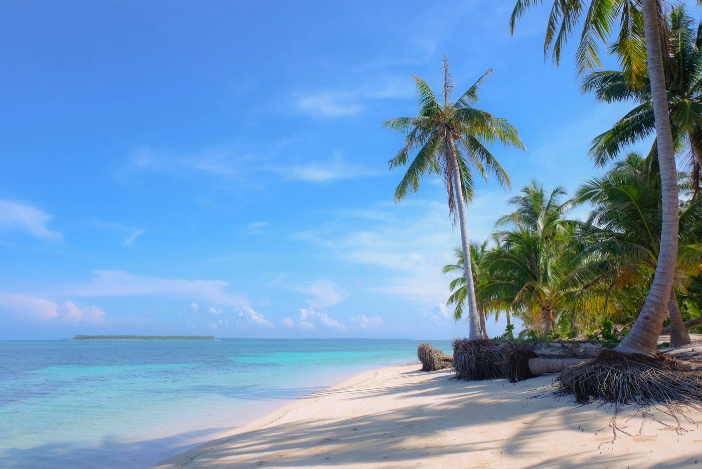 A Tropical Beach With Palm Trees And Clear Water